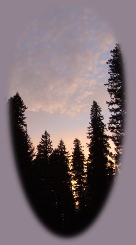 inspirational writings, spiritual inspiration, thoughts for the day, poetry, prose, stories: higher self, personal growth, spiritual encounters, out of body experiences and white light experiences, from Brad Kalita, founder of gathering light ... a retreat located near crater lake national park in southern oregon.